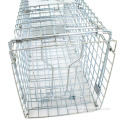 Collapsible Squirrel Trap Cage Animal Large Cage Catcher Cold galvanized Catch Factory